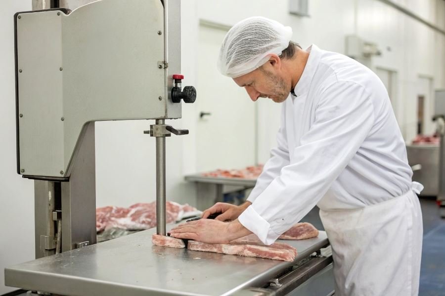 2567-professional-frozen-food-saw-selection