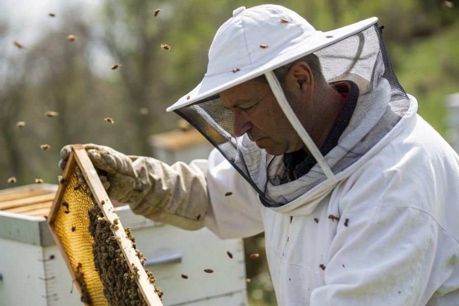 955-beekeeping-protective-jacket-selection-guide